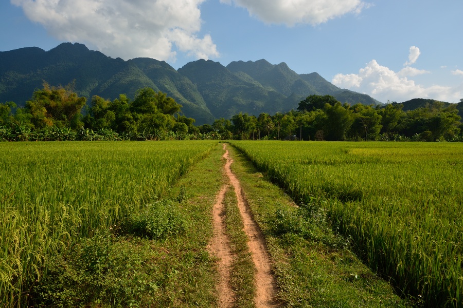 Trip To Mai Chau In Vietnam Among Green Countryside And Traditional
