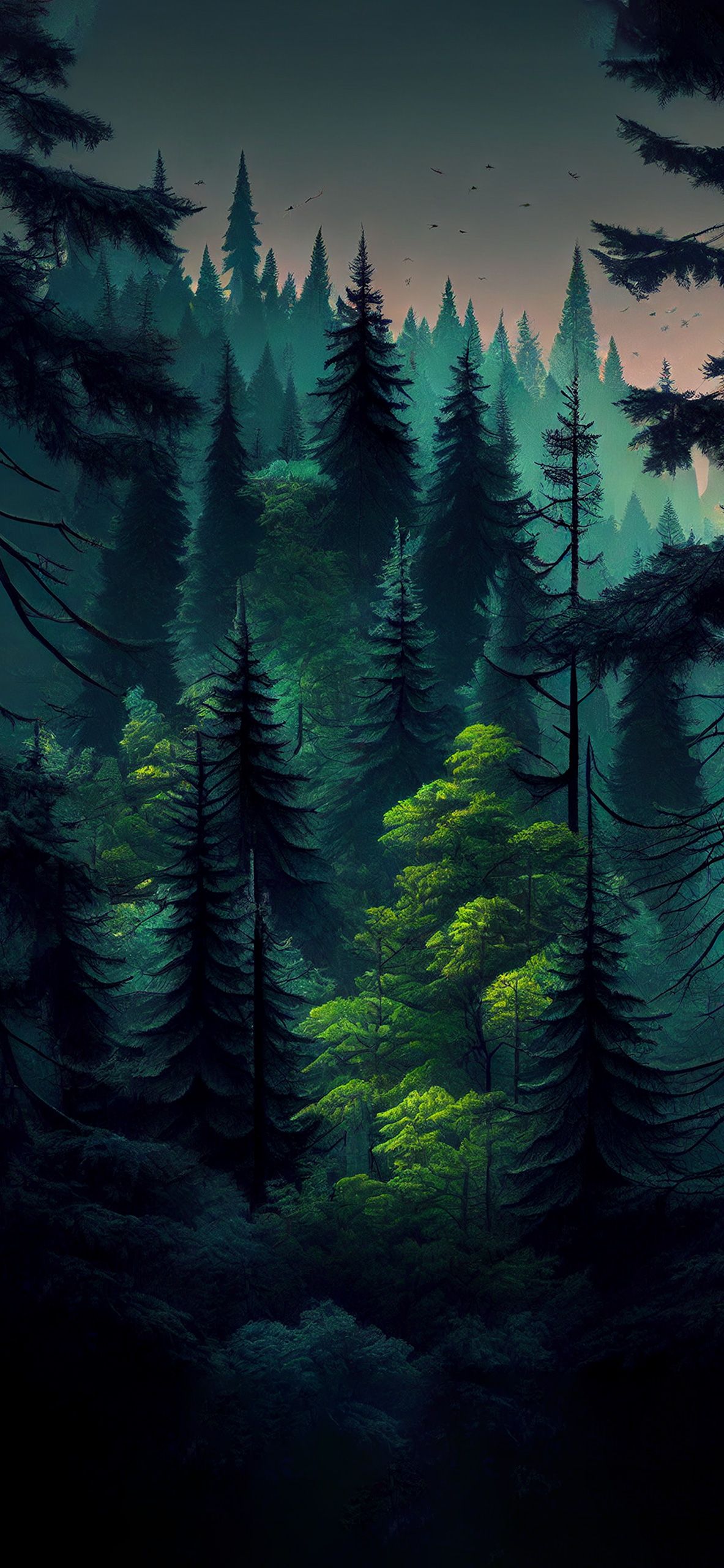 Dark Green Forest Wallpaper