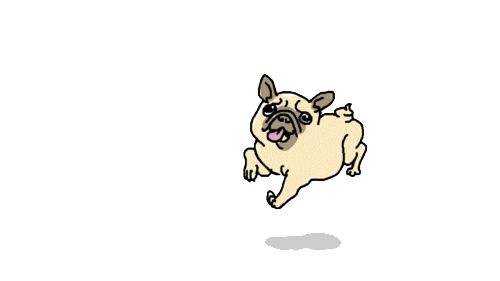 Pug Animated Gif Pictures Best Animations