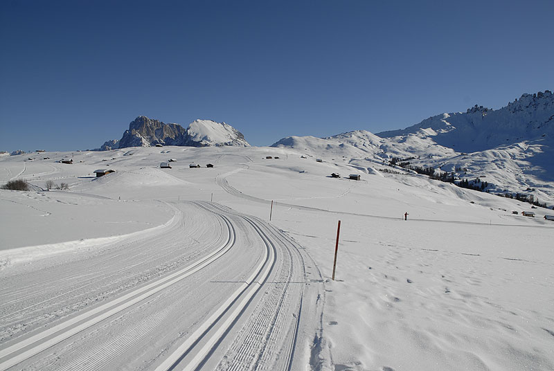 Sci Di Fondo Sull Alpe Siusi Nelle Dolomiti Dell Alto Adige