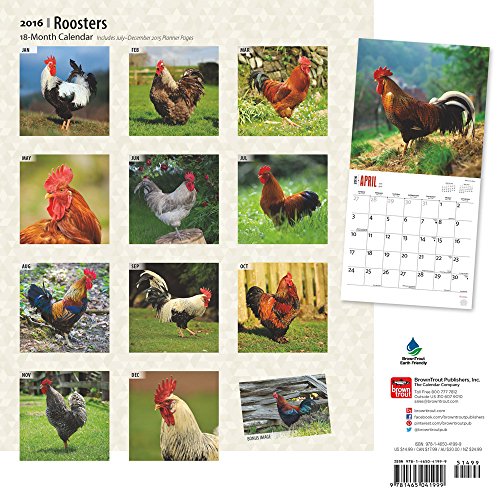 Collectibles Paper Calendars Current Year Next