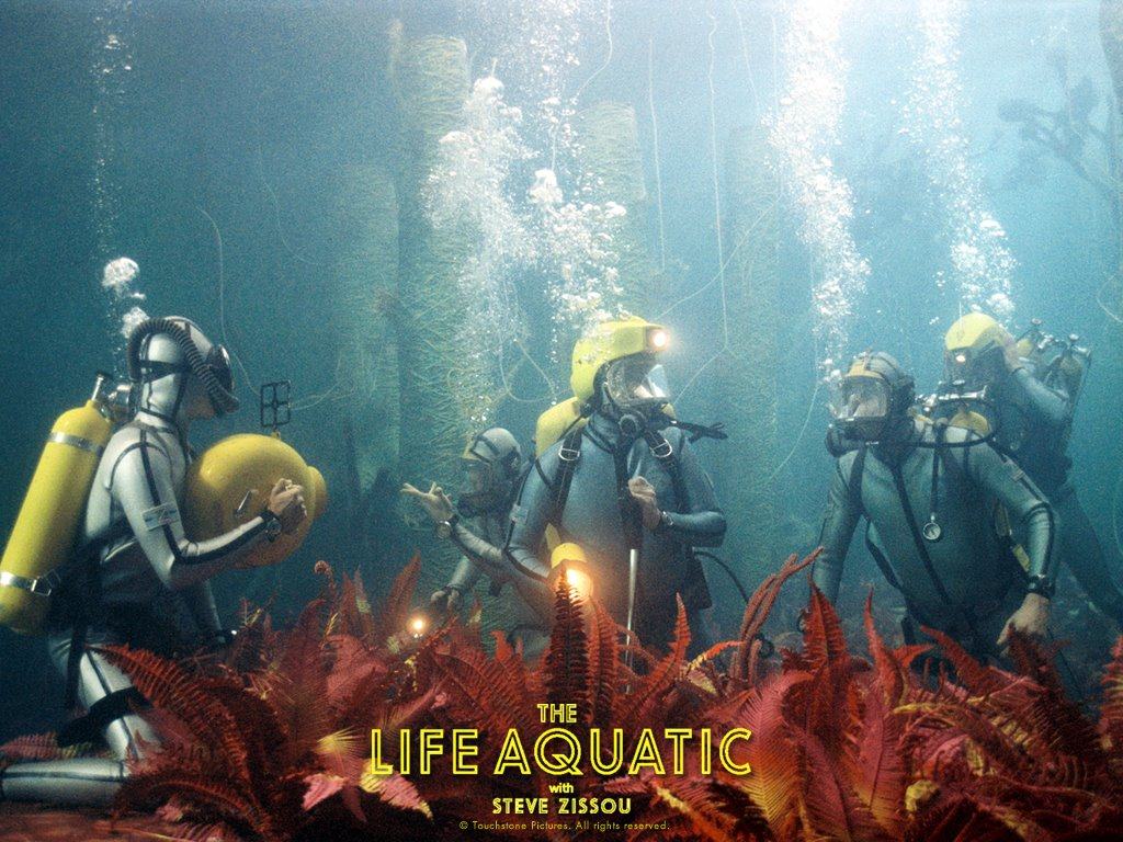 Wallpaper Wes Anderson Life Aquatic HD Background