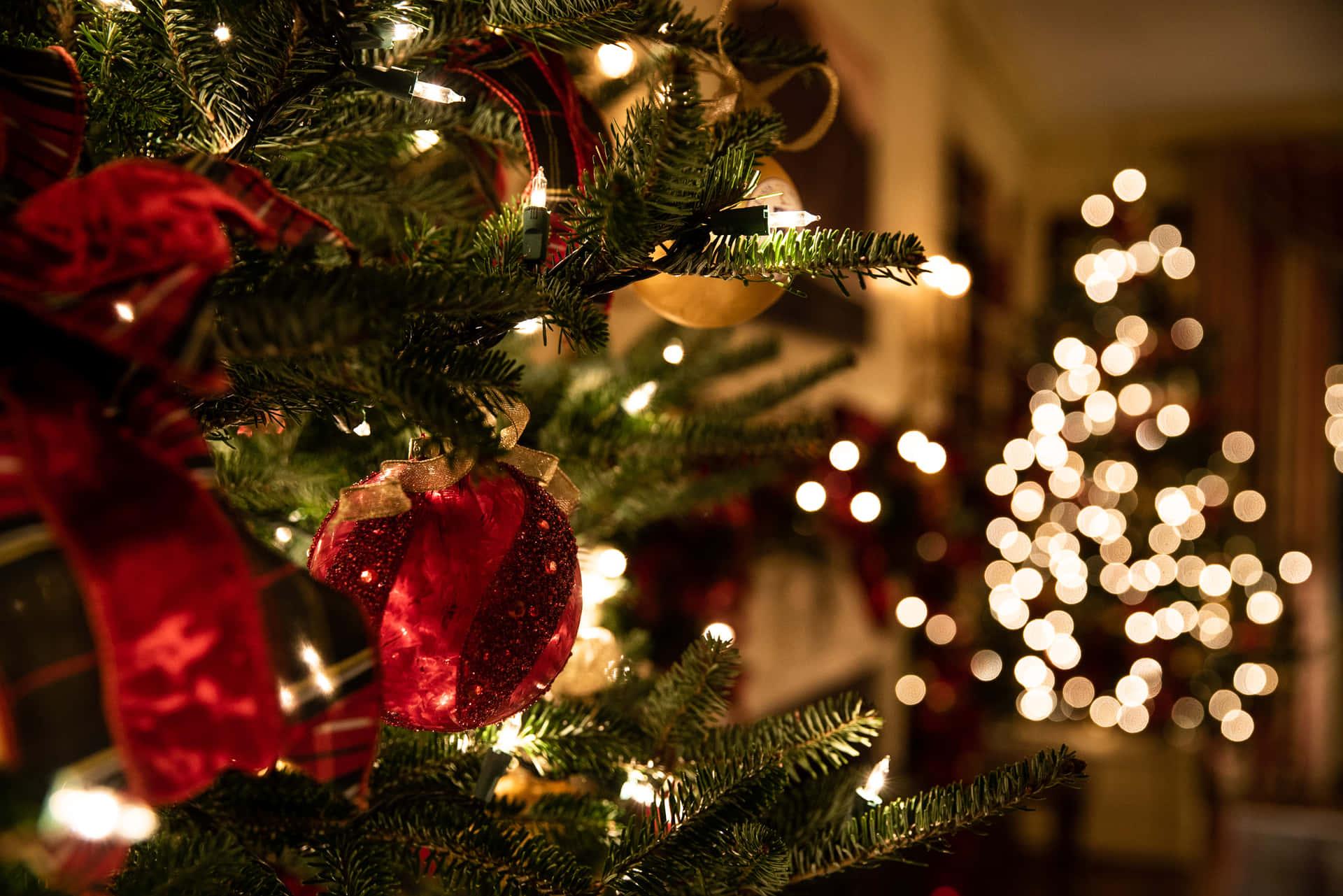 Celebrate Christmas With This Aesthetic Laptop Wallpaper