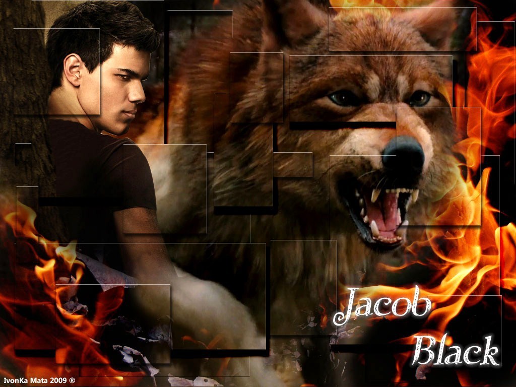 Jacob Black Twilight Series Wallpaper