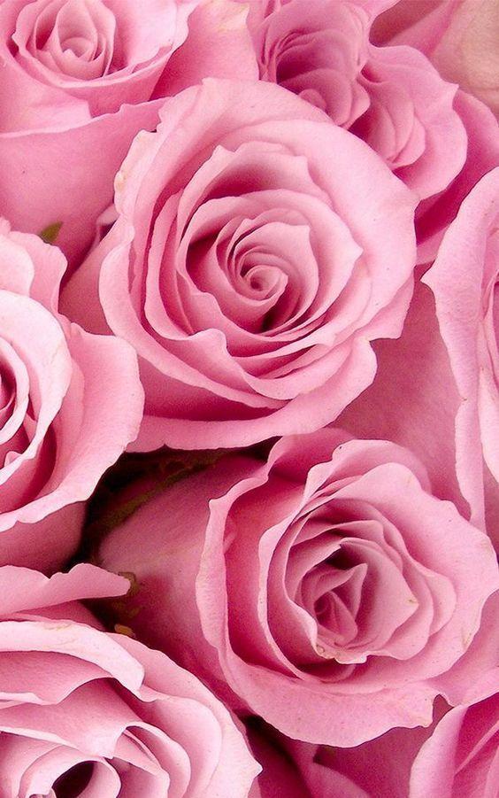Romantic Wallpaper S Pink Flowers