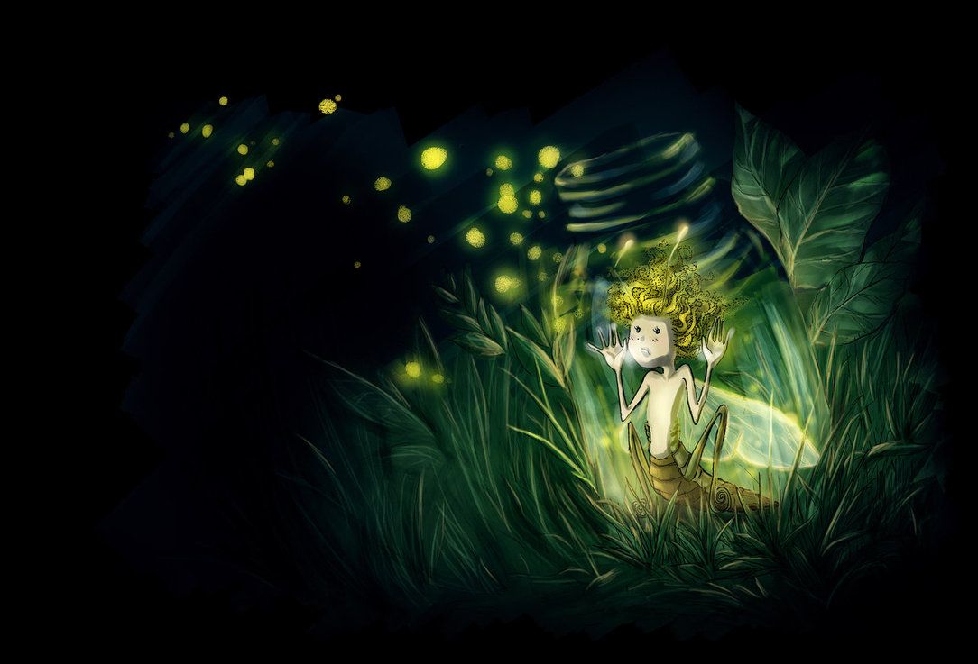 Grave Of The Fireflies Wallpaper Wide