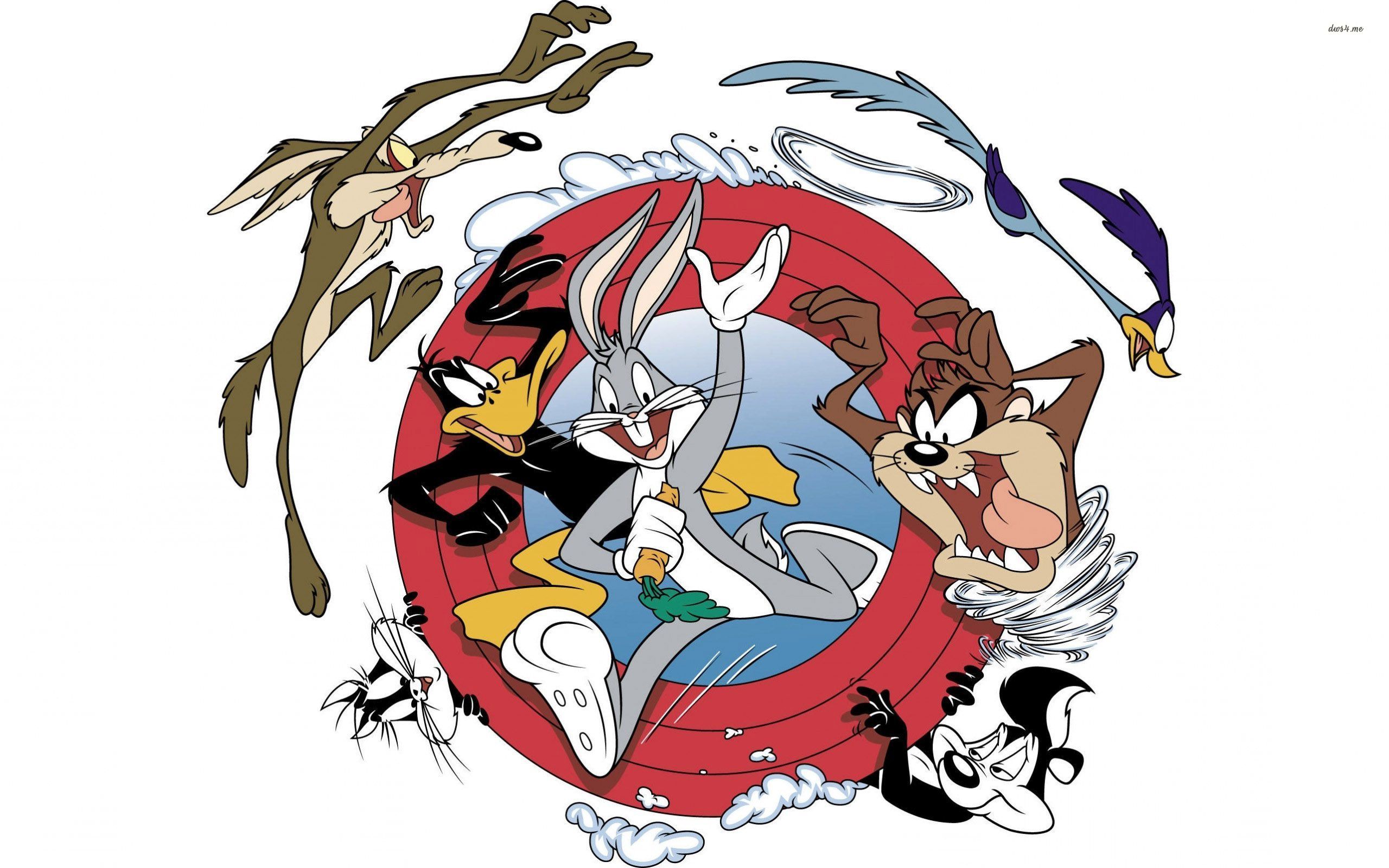 Looney Tunes Road Runner Cartoon