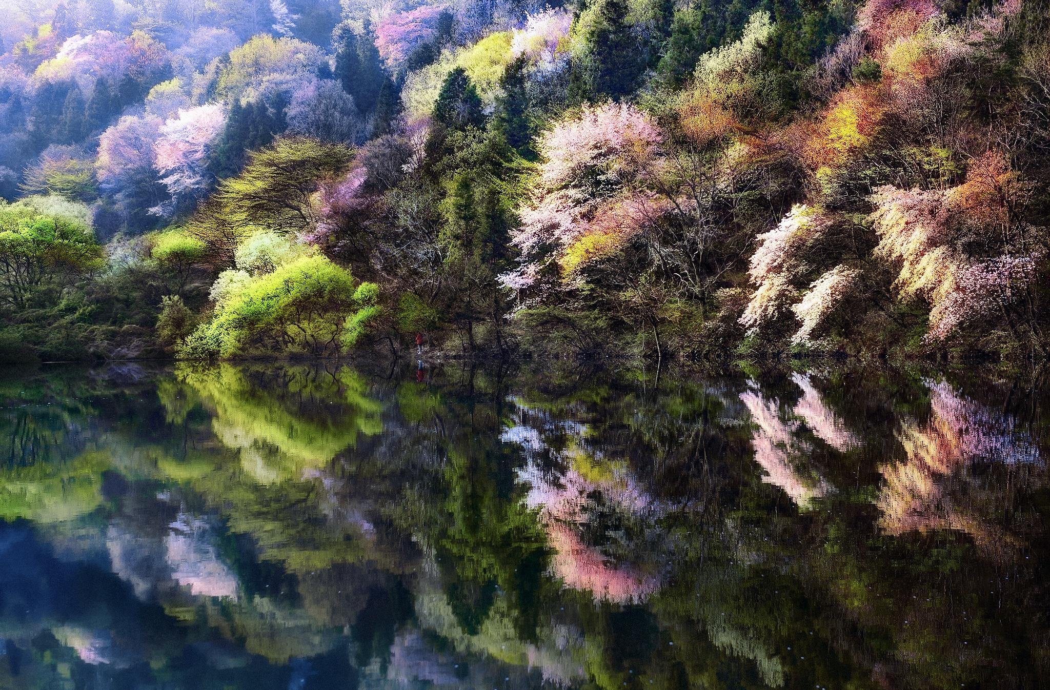 Nature Reflection HD Wallpaper