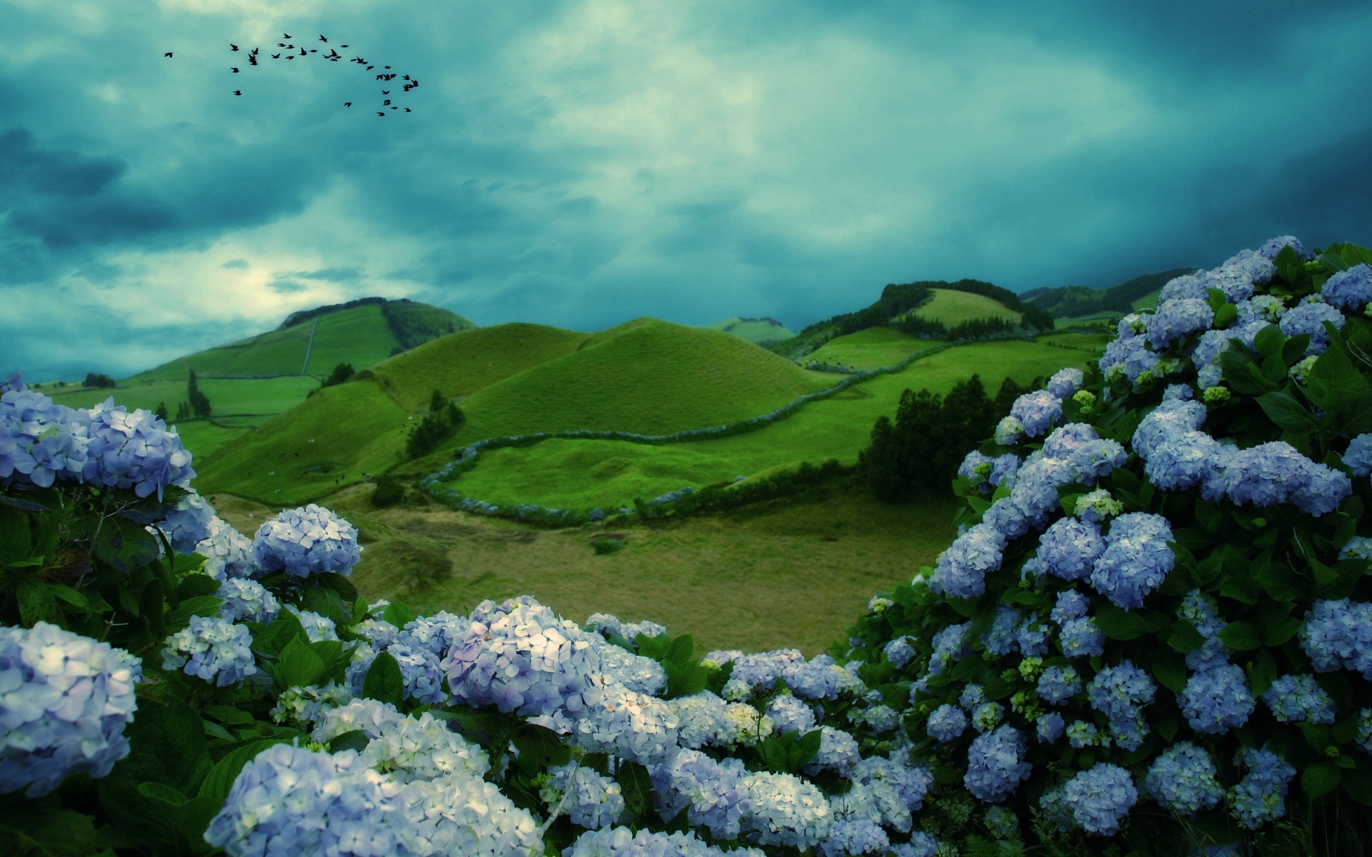 mountains flowers clouds birds wallpaper background