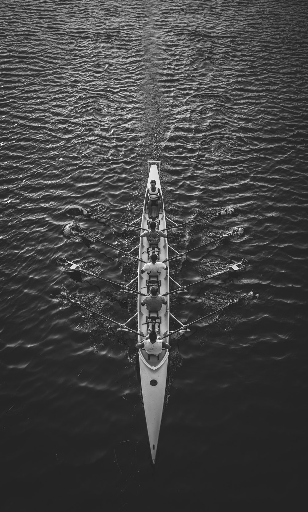 Rowing Pictures Image