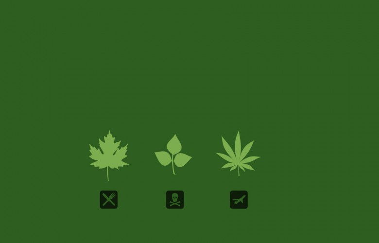 Triple Marijuana HD Weed Wallpaper