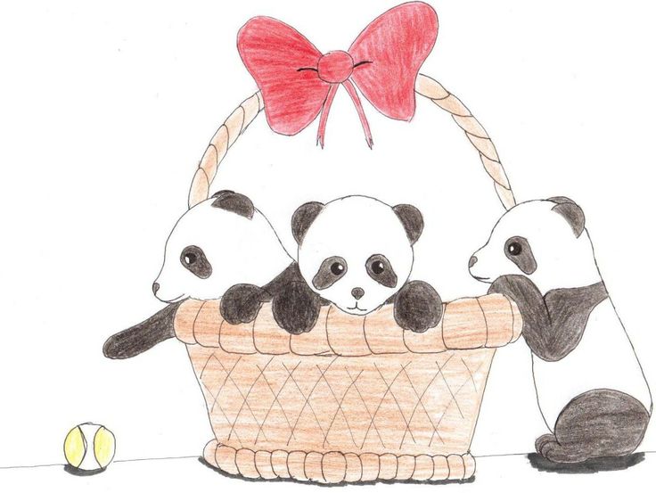 Free download Cute Panda Anime Wallpaper HD Wallpaper Pinterest [736x553]  for your Desktop, Mobile & Tablet | Explore 47+ Cute Anime Panda Wallpaper  | Cute Panda Background, Cute Panda Wallpapers, Cute Panda Wallpaper