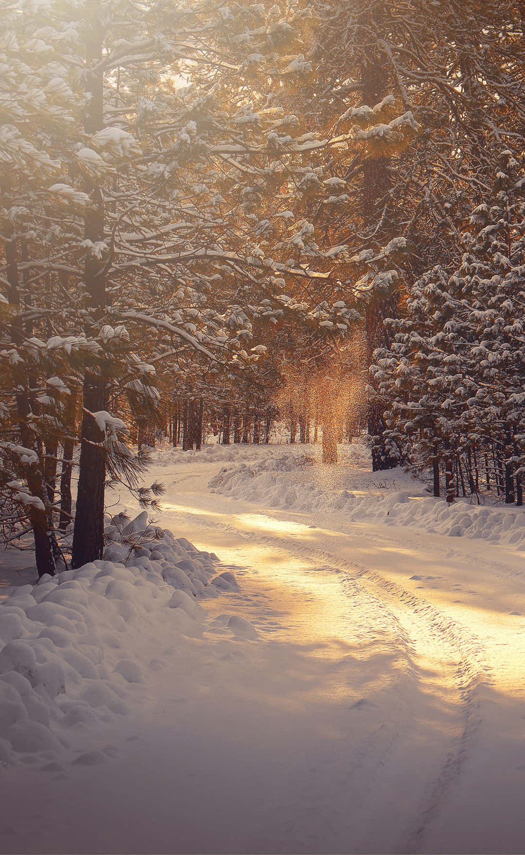 Simple Winter Wallpaper