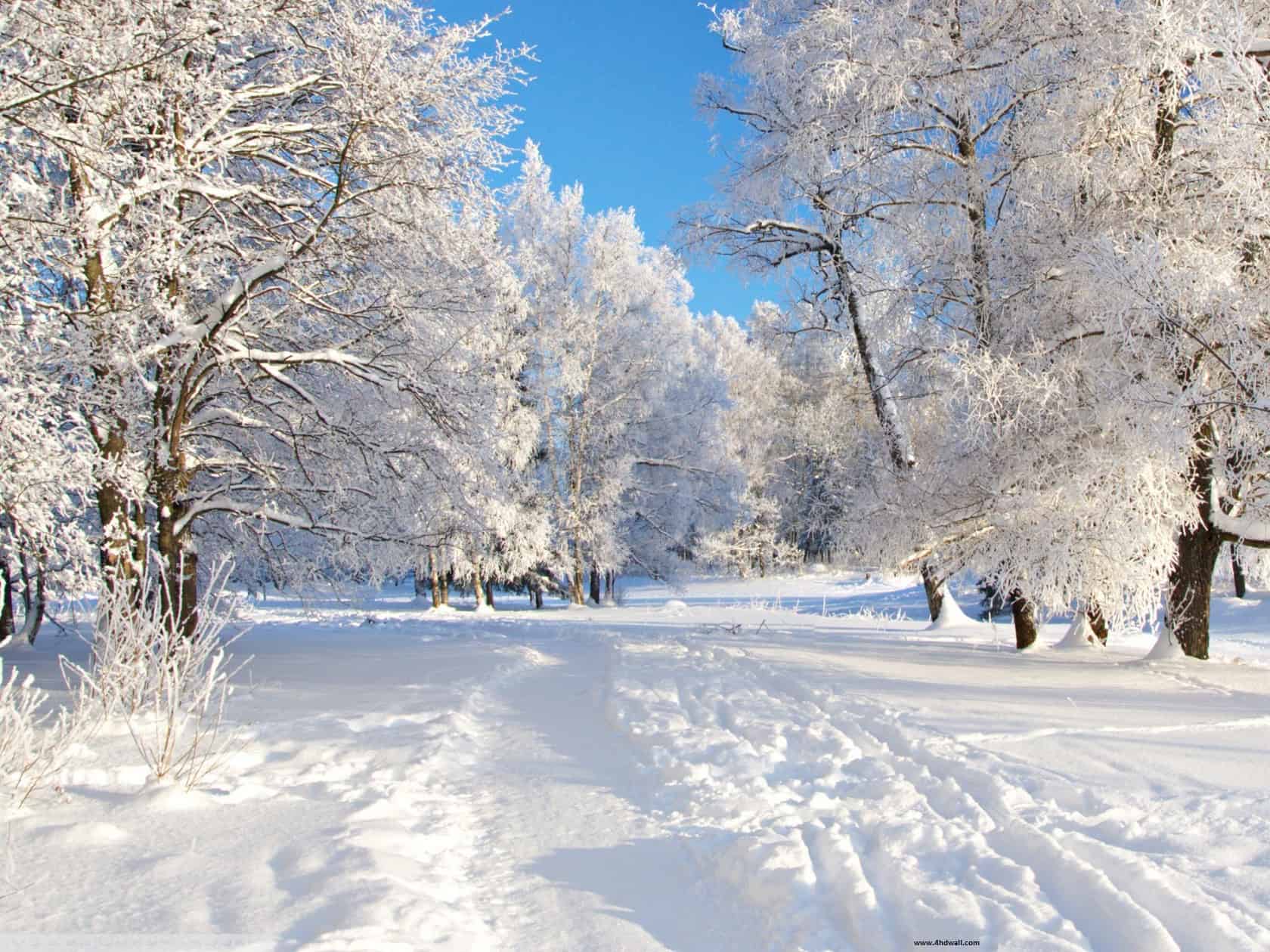 High Definition Winter Background Wallpaper