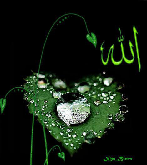 HD Islamic Photos Eid Kaaba Madina Beautiful Allah Wallpaper