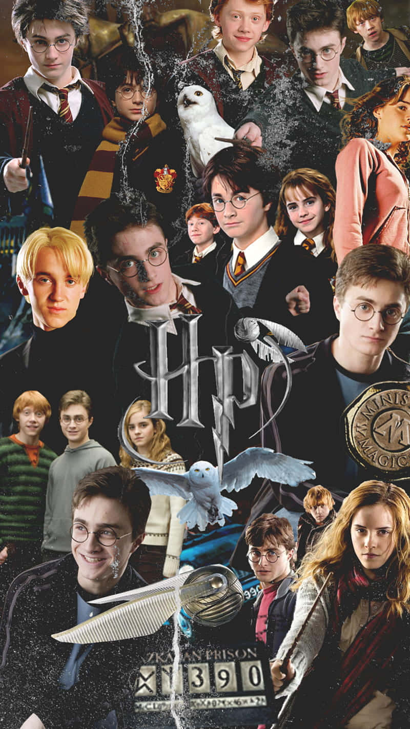 Harry Potter All Characters Wallpaper