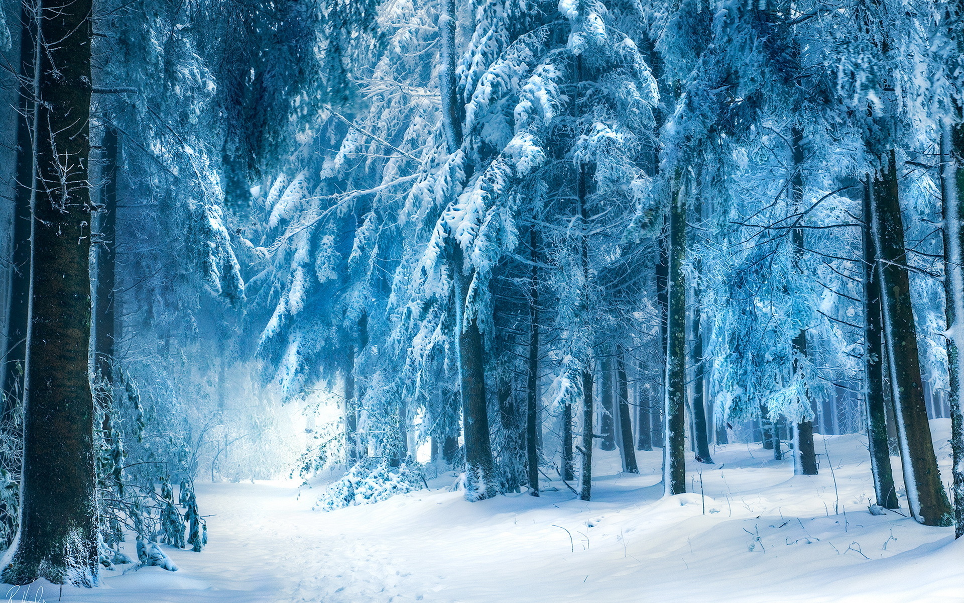 Winter Background Wallpaper Win10 Themes