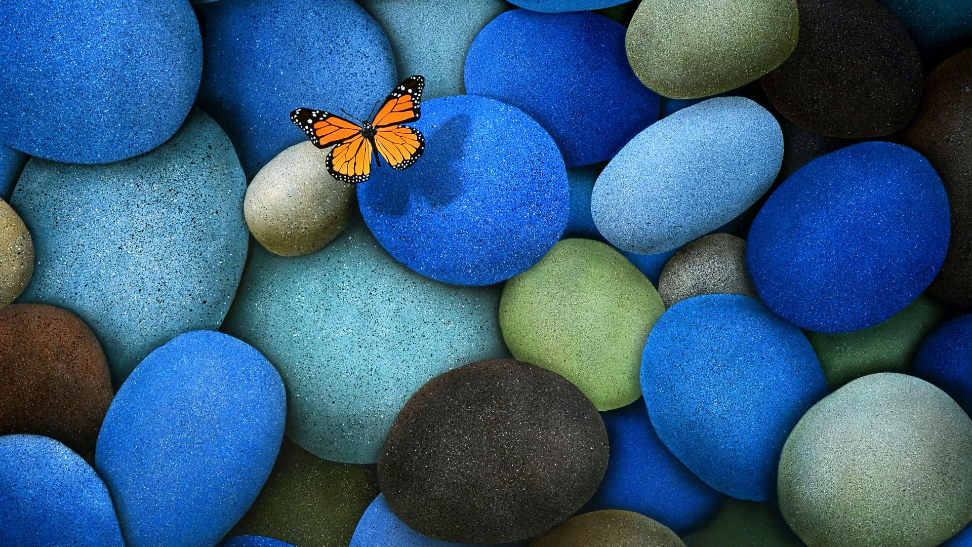 A monarch butterfly resting on smooth, colorful stones, a calming nature scene ideal for a laptop wallpaper
