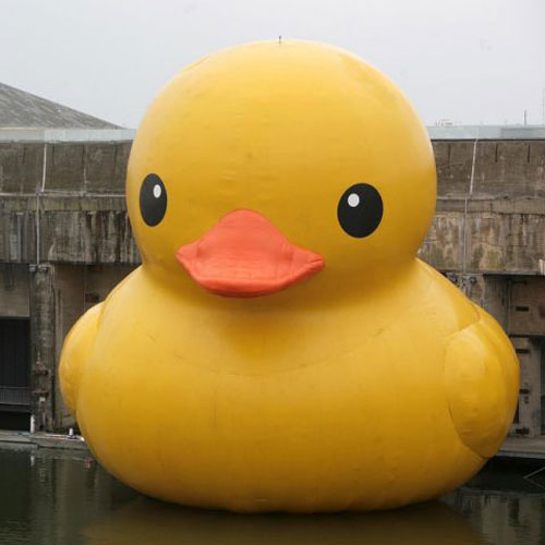 GIANT Rubber duck