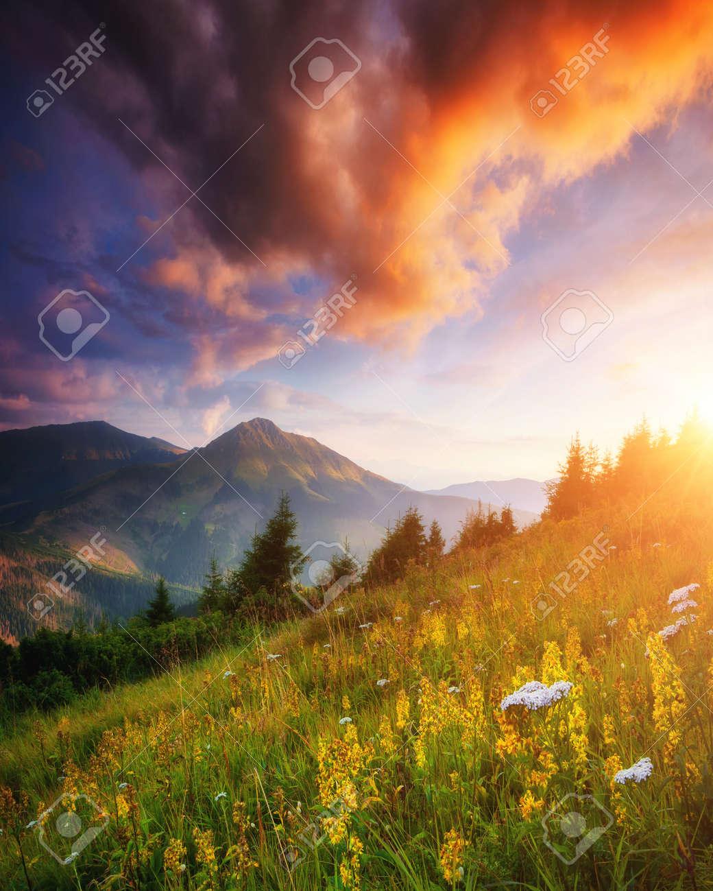 Picturesque Sunset In The Summer Mountains Location Place Of