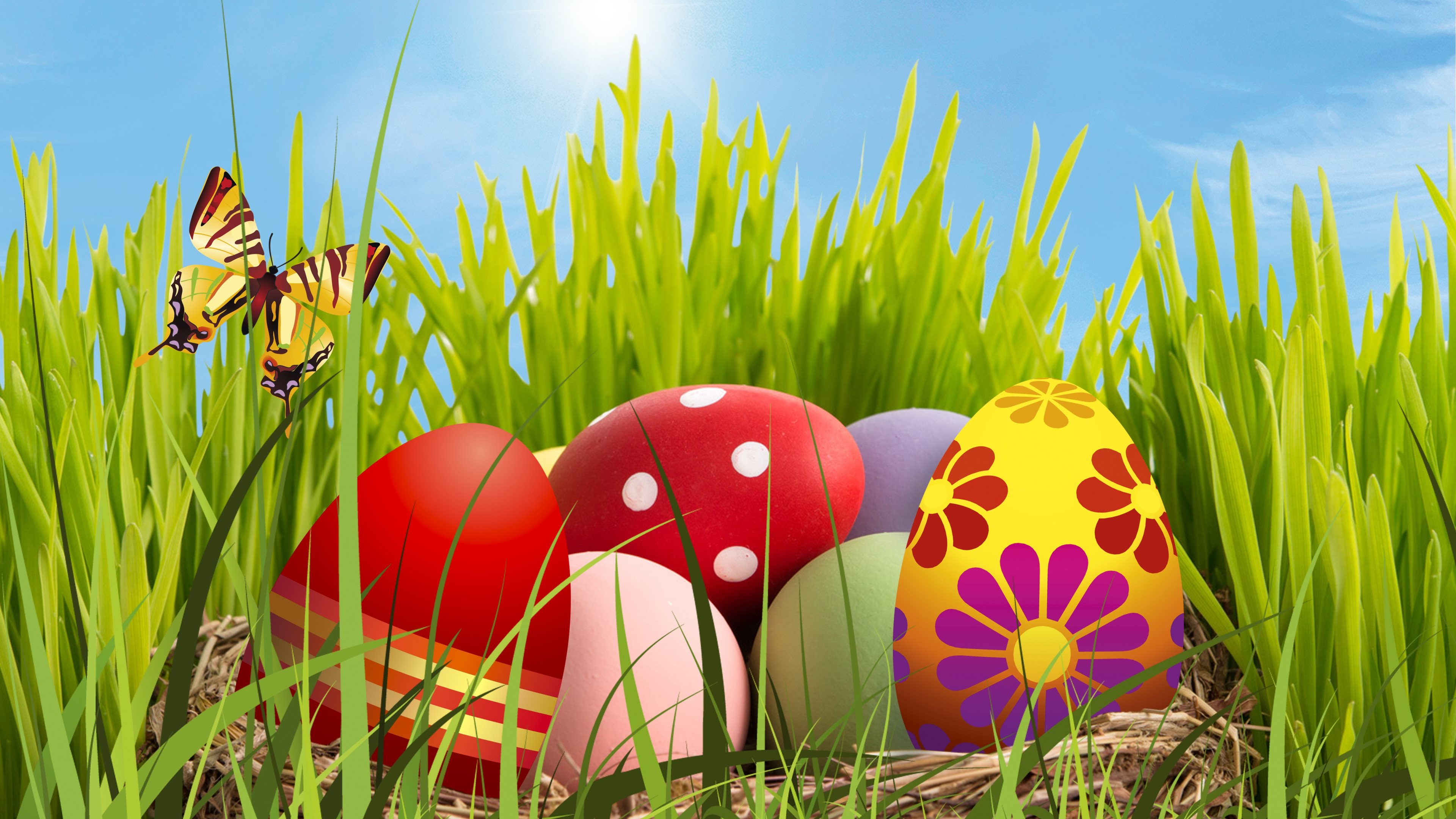 Easter Eggs In The Grass 4k Ultra HD Wallpaper Background Image