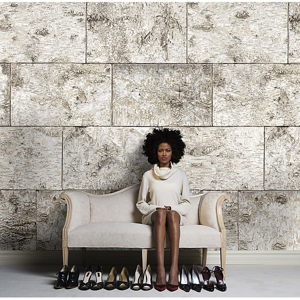 Free download Birch Wall Mural 8 740 Birch Photomural [600x600] for