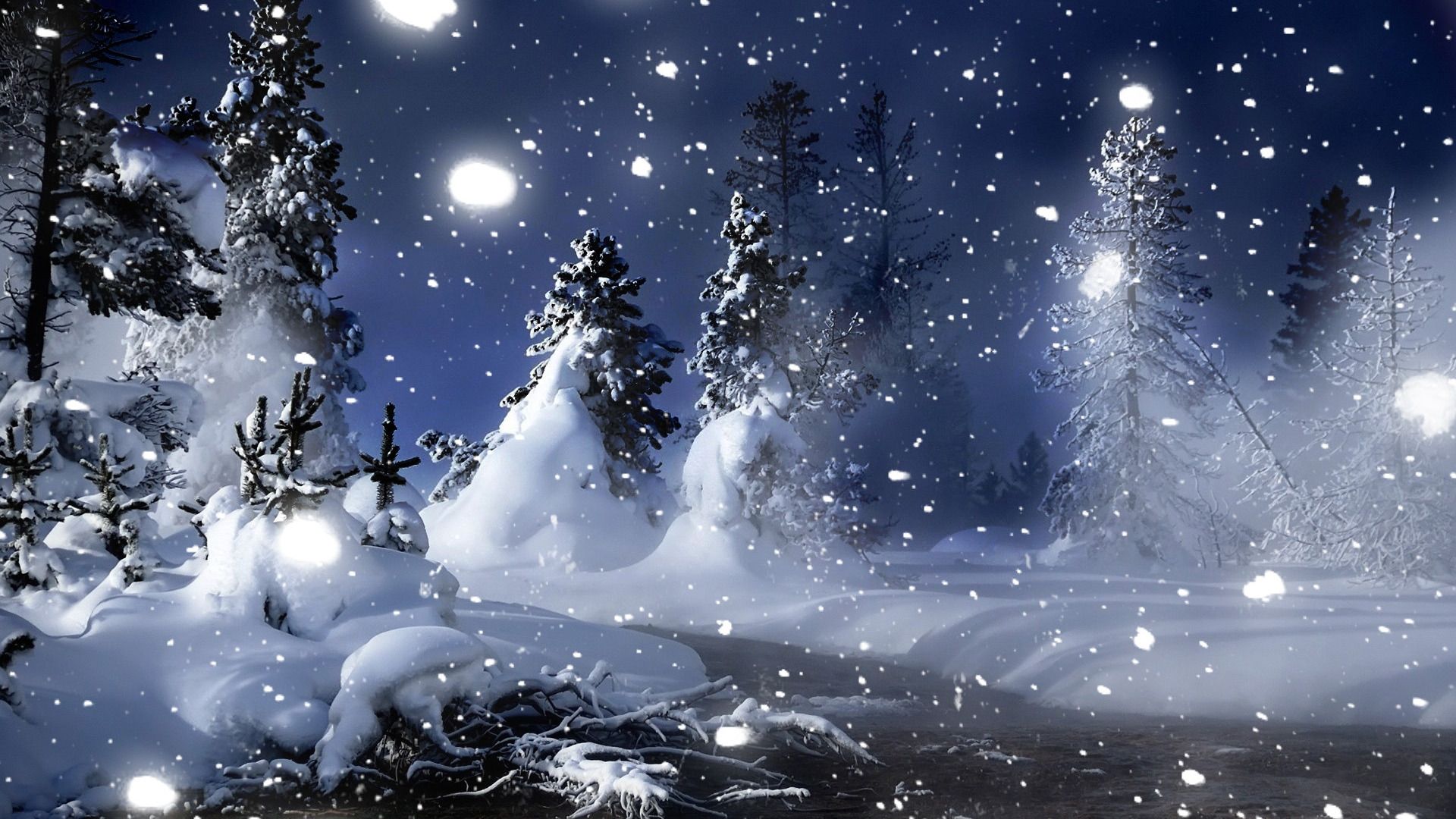 3d Landscape Winter Night In Park Picture Nr