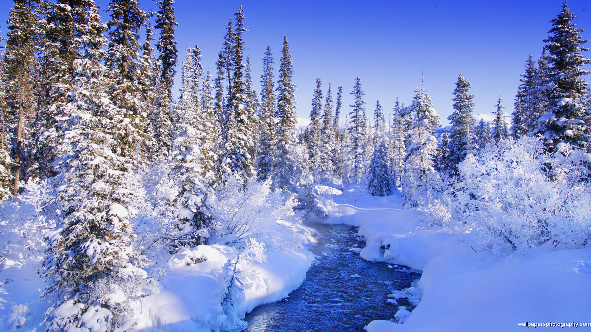 Wallpaper For Android Winter Scenes HD Nature