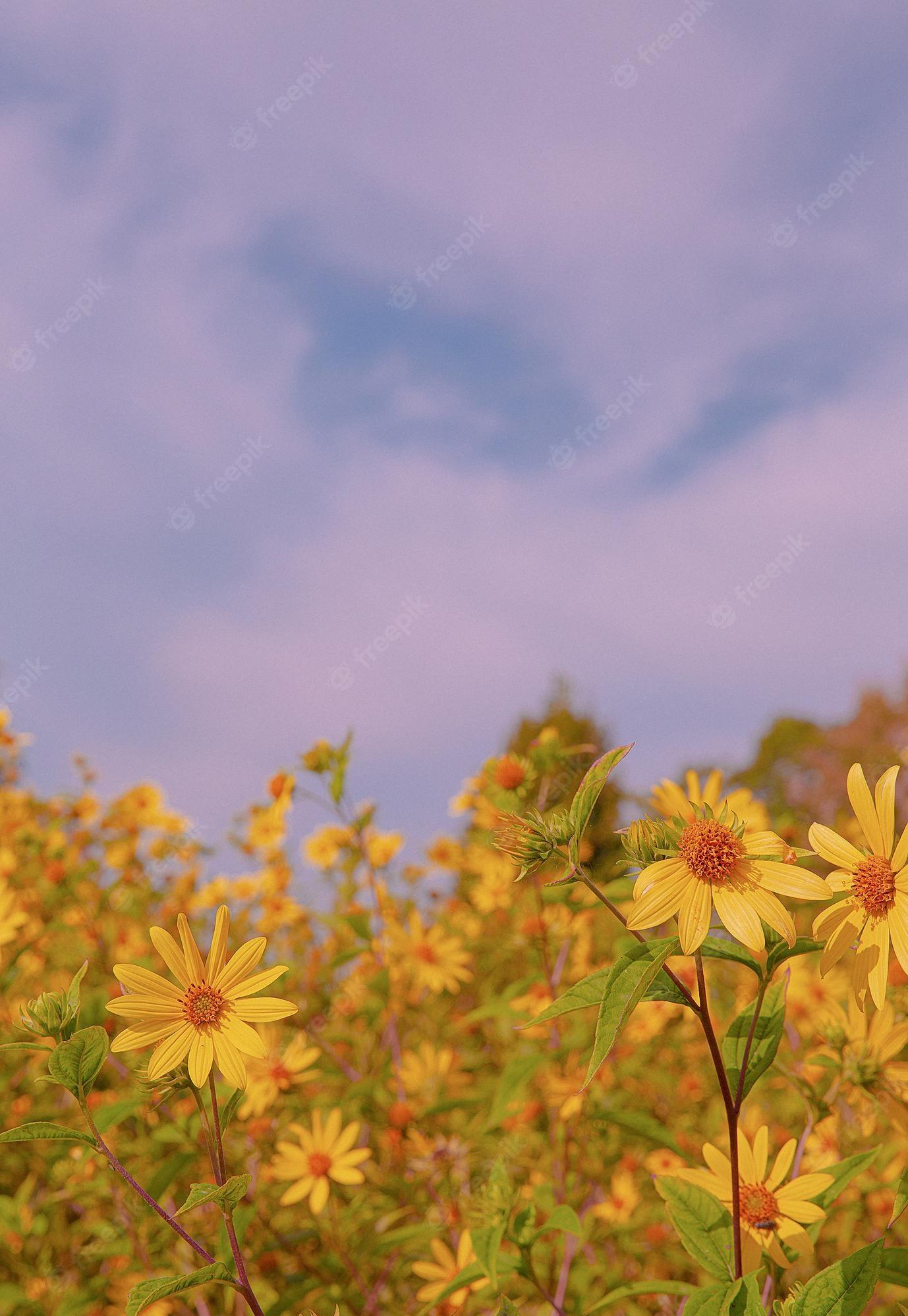 Premium Photo Eco nature plant lover background yellow flower