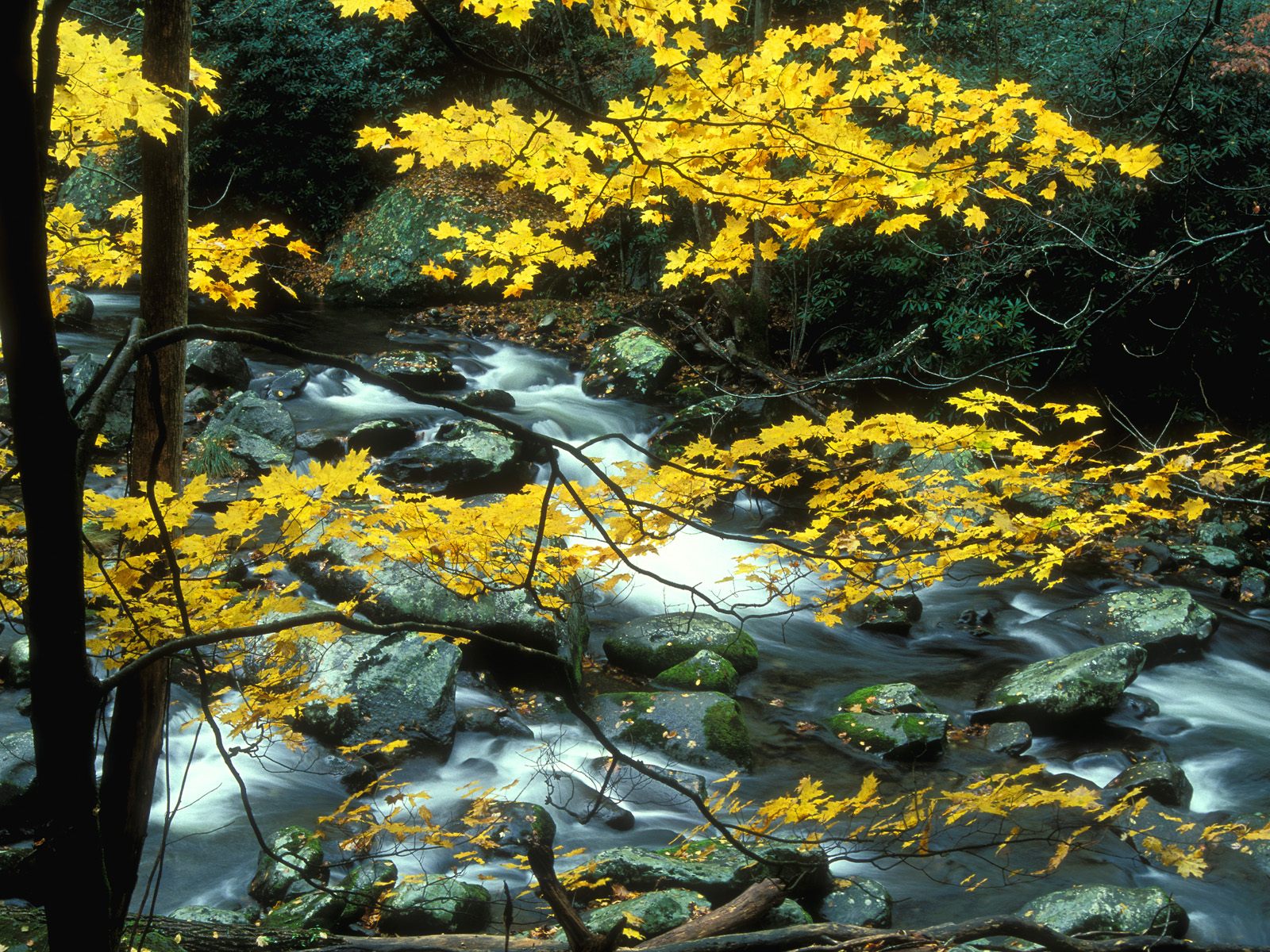 Related To The Great Smoky Mountains Of Tennessee