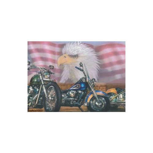 Patriotic American Eagle Motorcycle Wallpaper Border