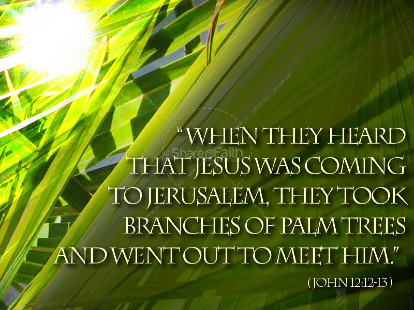 Palm Sunday Wallpaper Image In Collection