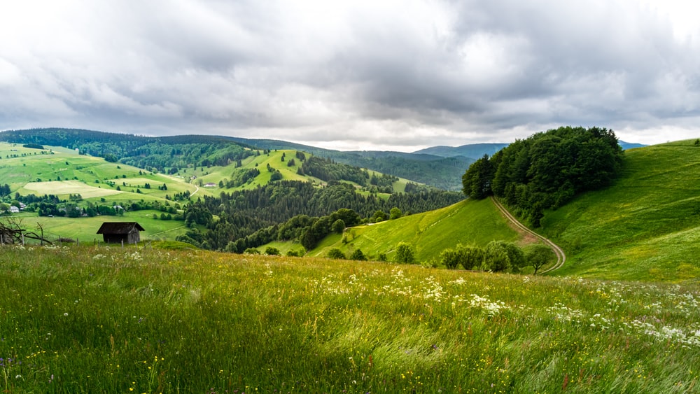 Schwarzwald Pictures Image
