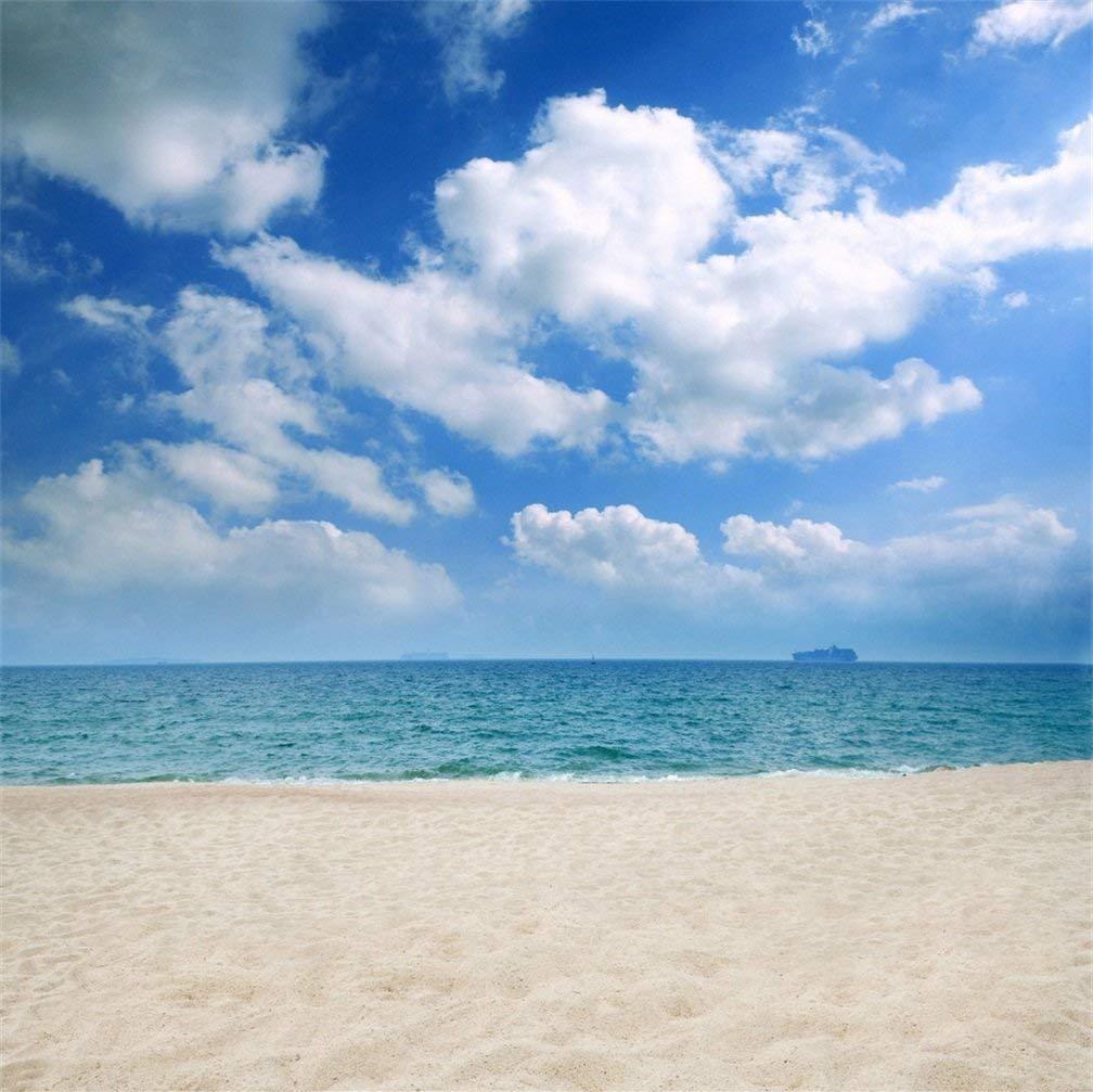 Amazon Aofoto Summer Beach Photography Backdrop