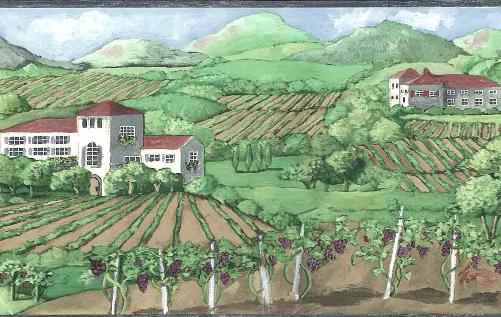 Grape Wine Vineyard Wallpaper Border Napa Valley Tuscany Green Norwall