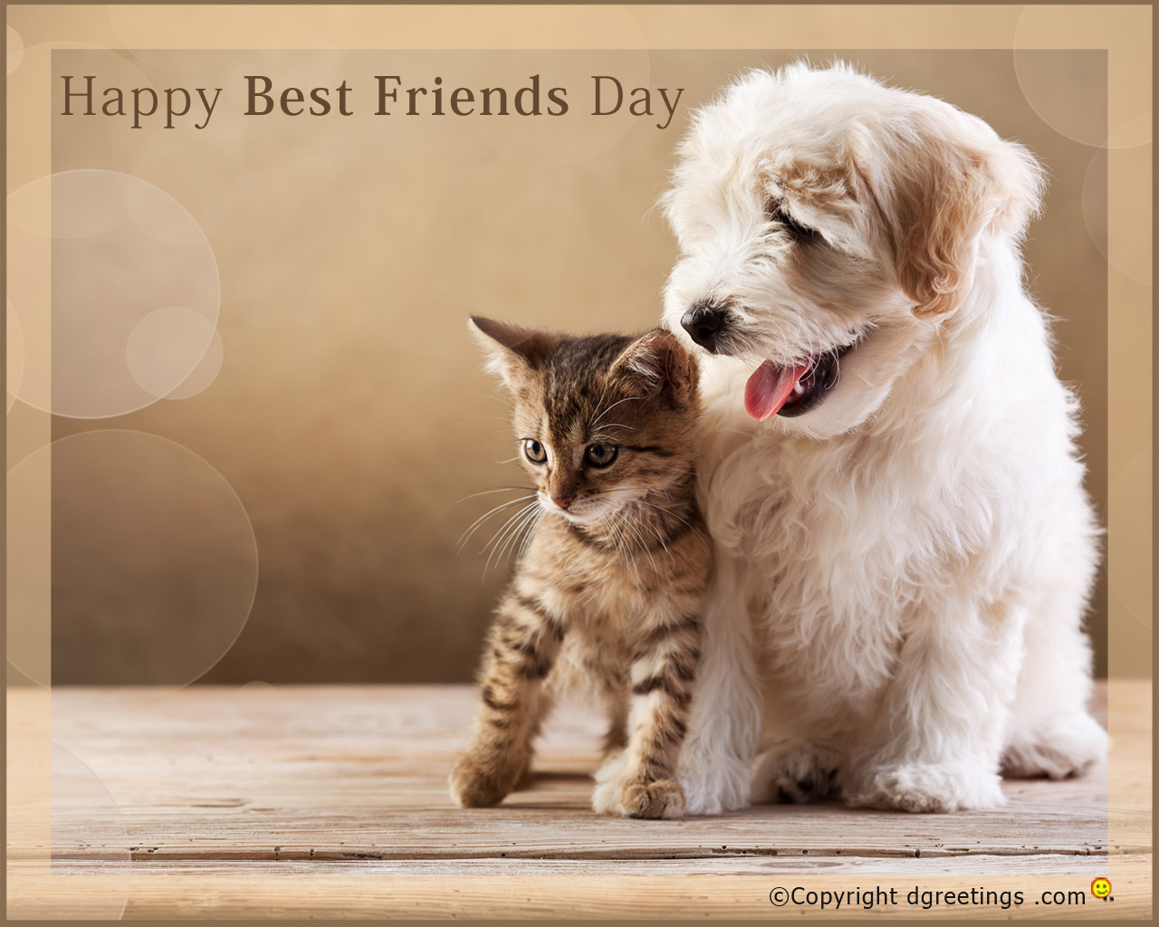 Best Friend Day Wallpaper Of Different Sizes Dgreetings