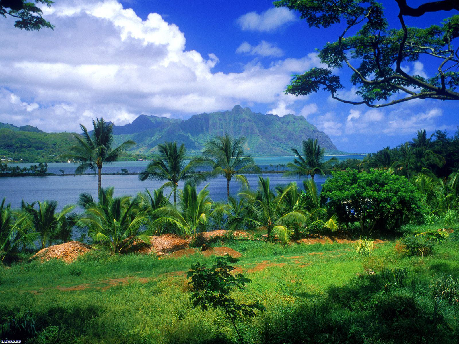 Hawaiian islands Desktop Wallpapers FREE on Latorocom