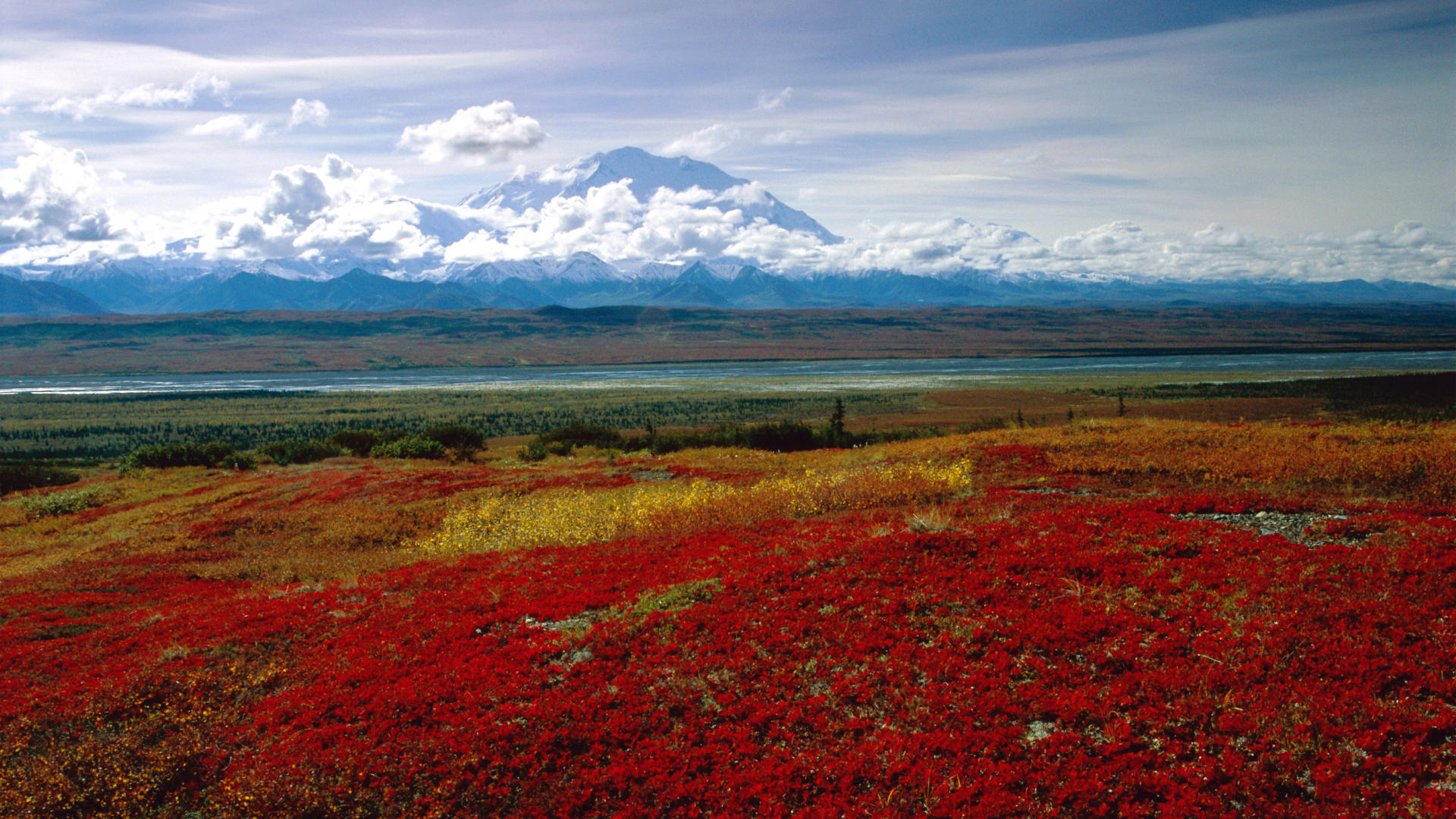 Background Alaska Background Park Denali Brilliant Colors Cool