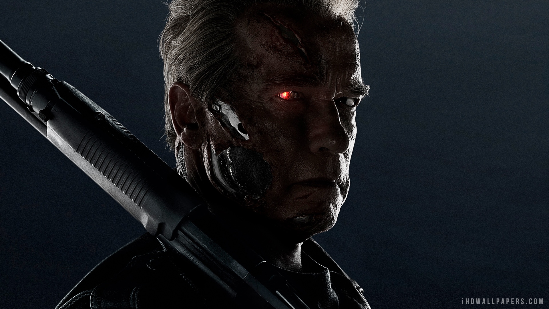 Arnold Schwarzenegger Terminator Genisys HD Wallpaper IHD