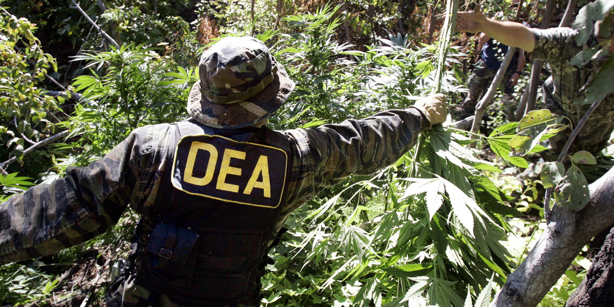 Former Dea Agent Admits Cannabis Laws Are Unjust Dabs Magazine