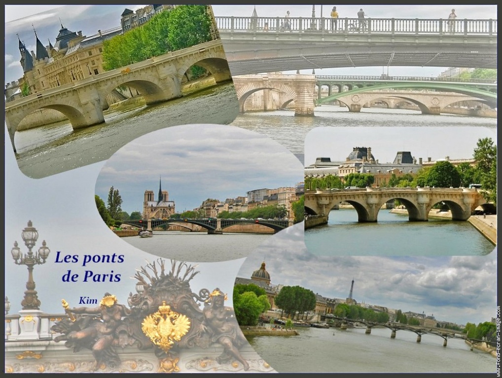 Les Ponts De Paris Dans Photo France Signaler Erreur