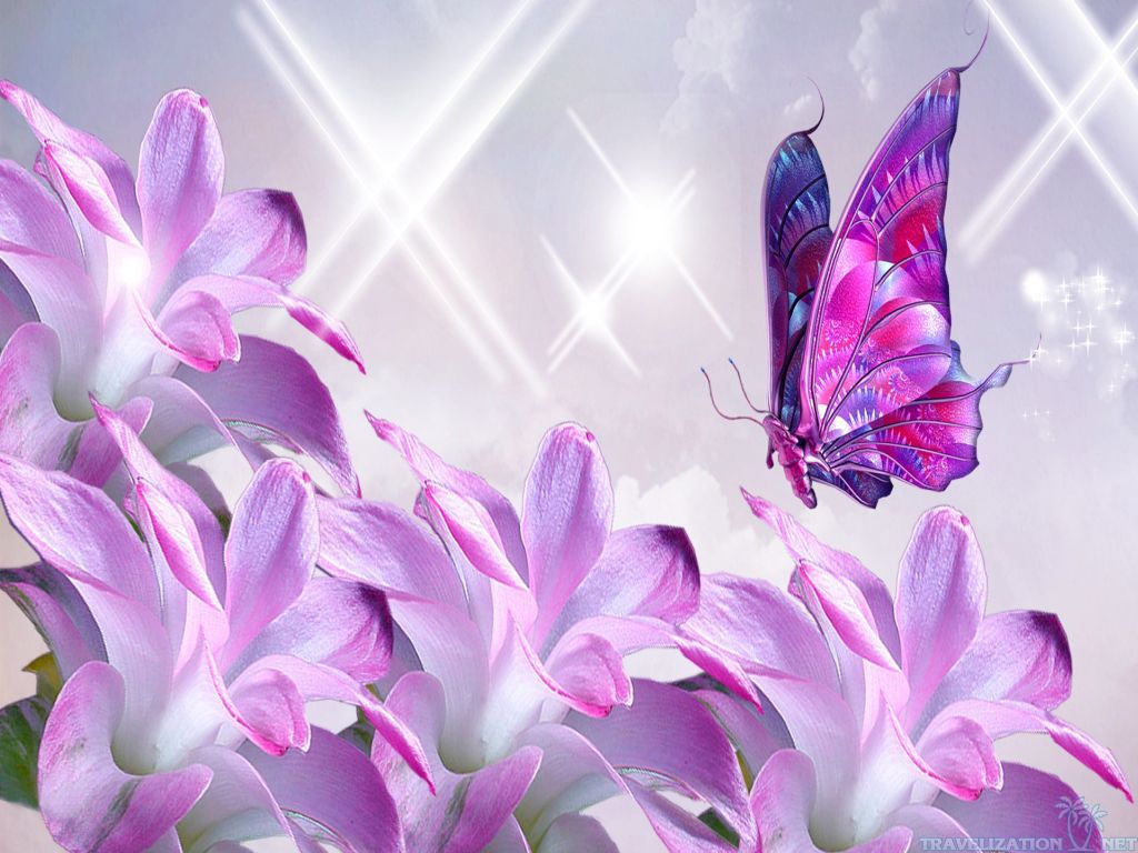 wallpaper Devine Pink Butterfly Lavender Sparkles Flowers Wallpapers