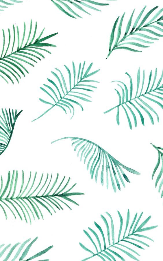 Palm Leaves Design Love Fest January Wallpaper