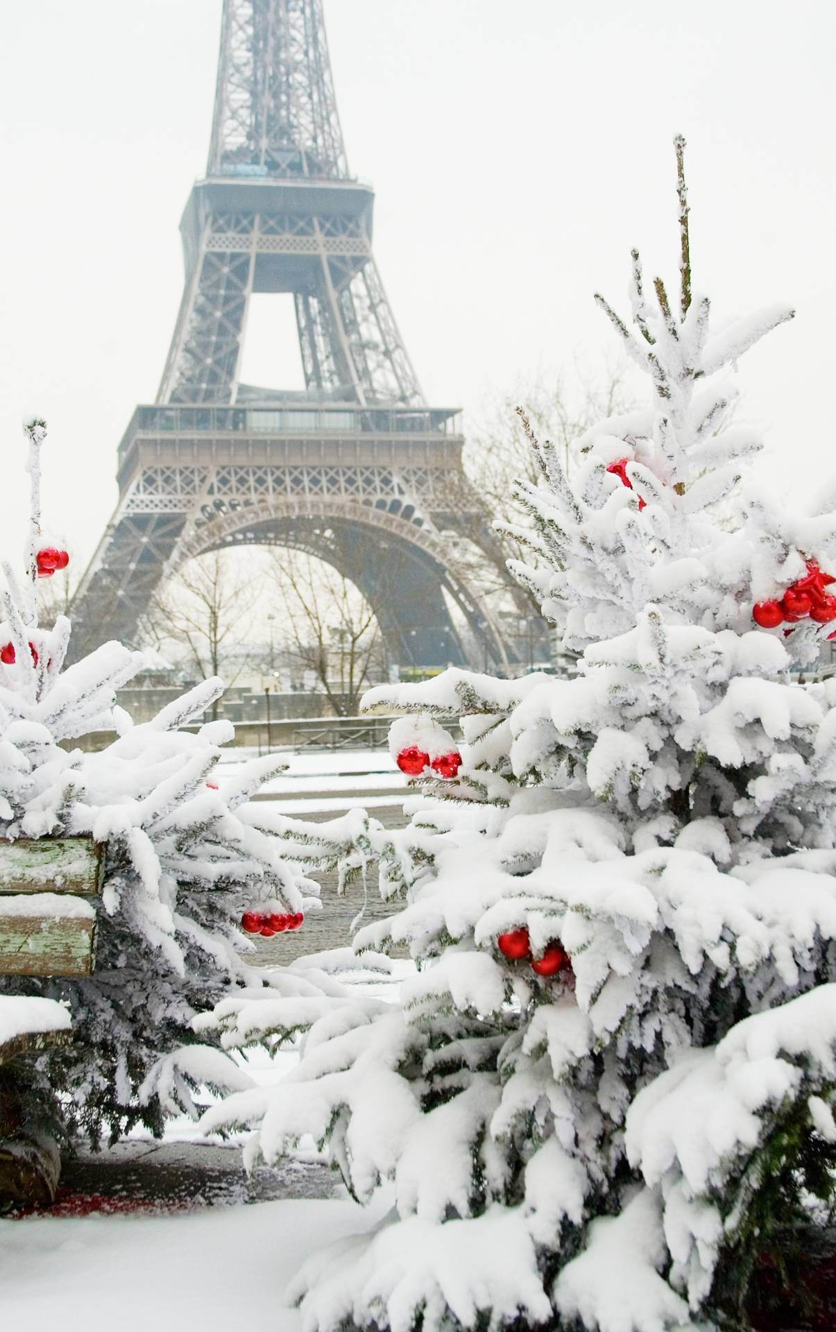 Paris In Winter Stuff Picture