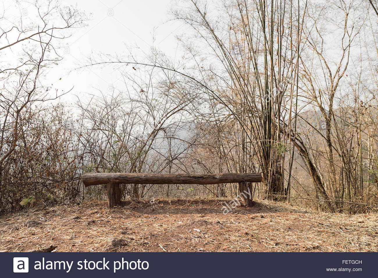 A Sitting Wood Bench With Small Bamboo And Sunny Sky As Blur