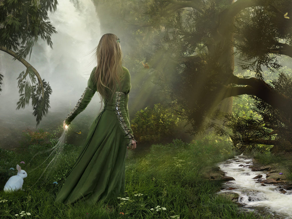 Enchanted Forest High Resolution Photo