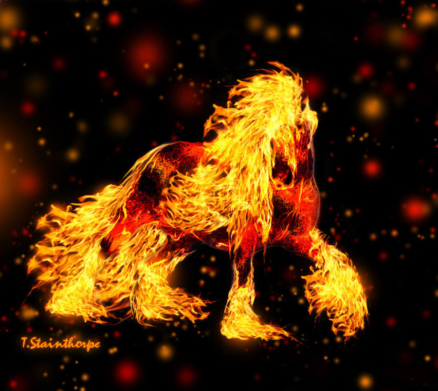 Horse Fire HD Desktop Wallpaper Jpg