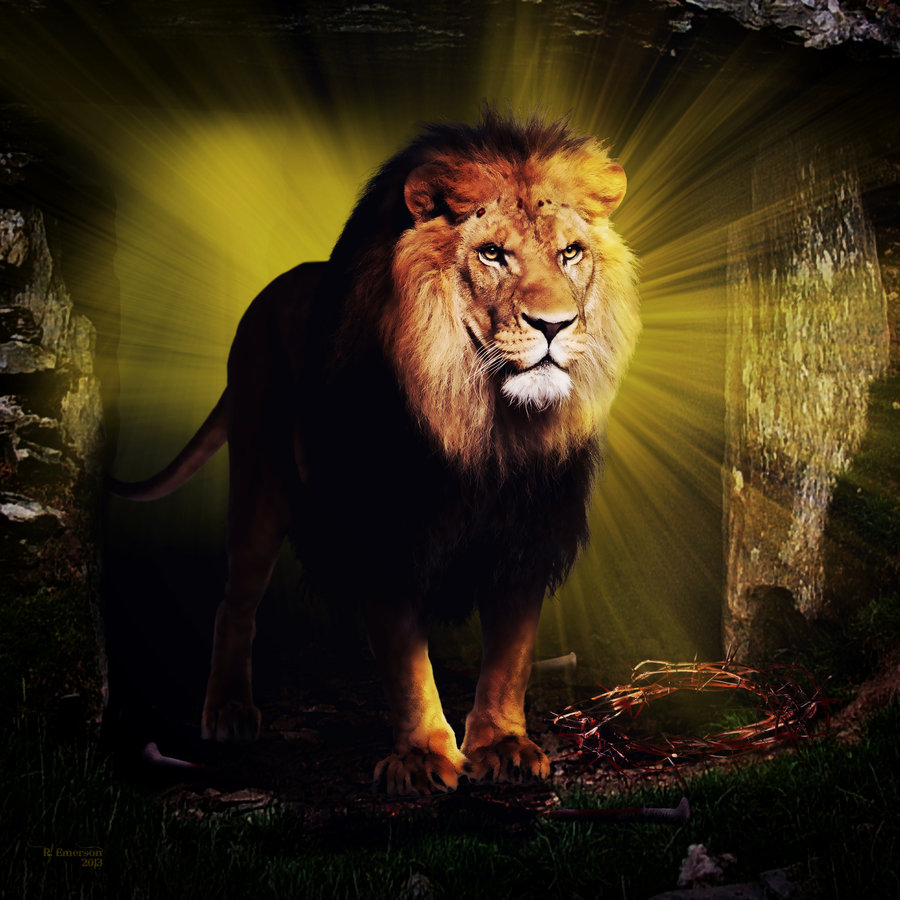 The Lion Of Judah By Robhas1left