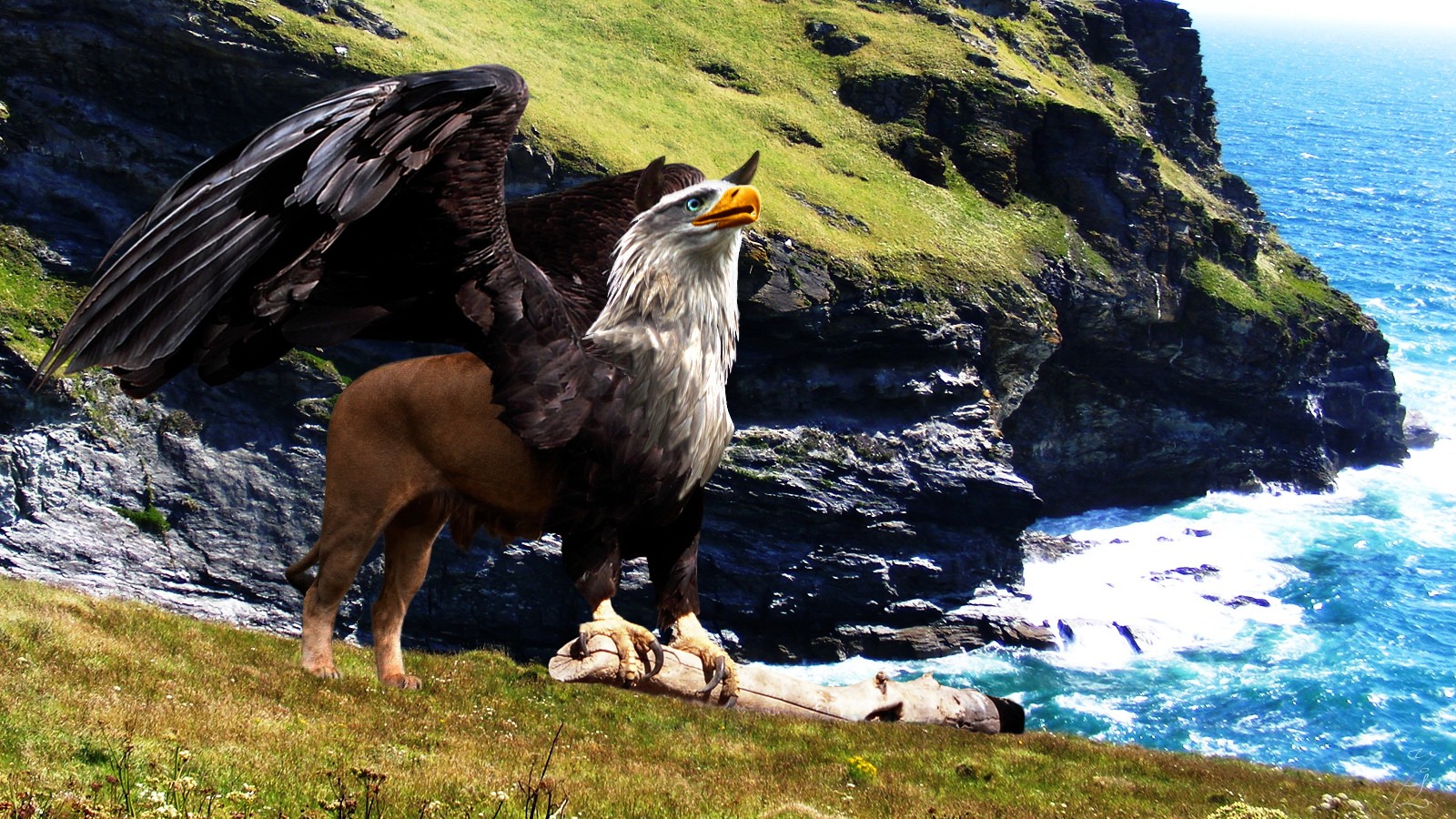 Griffin 4K wallpapers for your desktop or mobile screen free and easy to  download