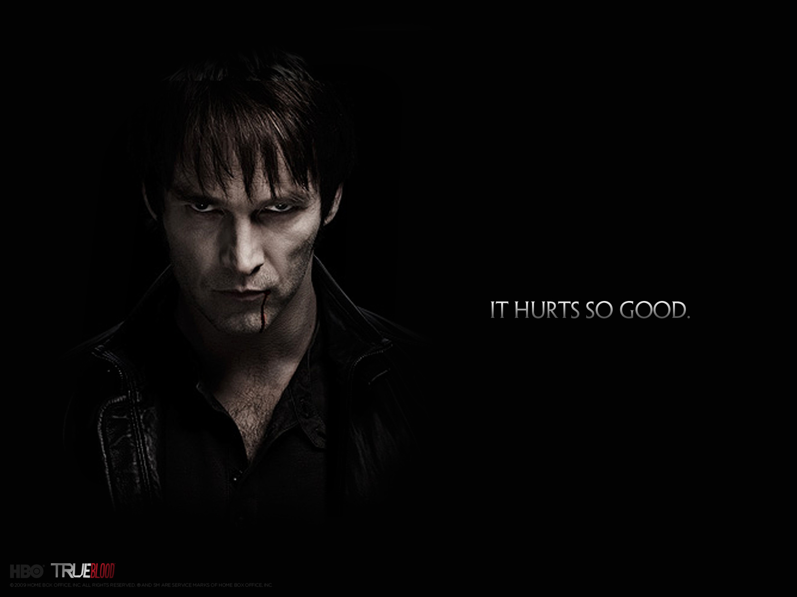Download Directly True Blood Wallpapers